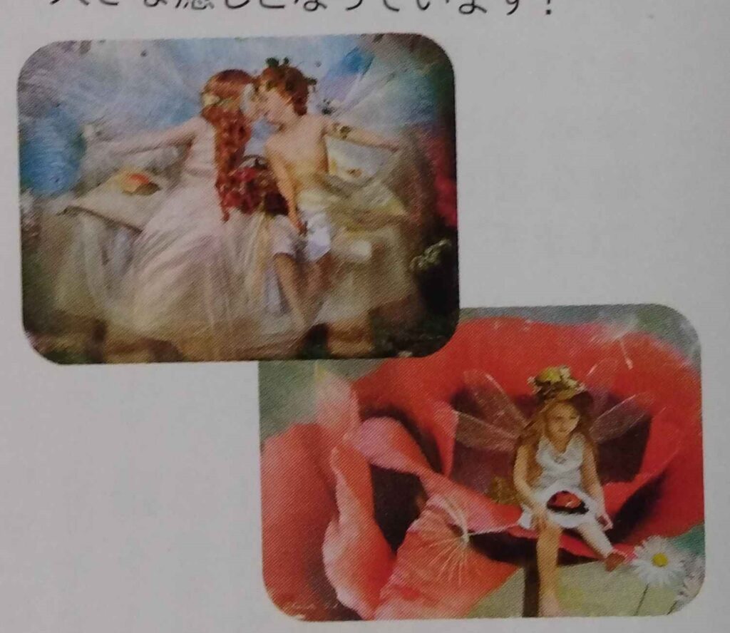 Two photographs of picture postcards of small children dressed as fairies. They are photographed against backdrops of extra large flowers to make them appear tiny. One has a boy and girl cuddling against a white flower, and the other has a girl sitting on a red rose, holding a ladybug in her lap.